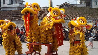 文藝表演 福興隆龍獅團 龍獅團,廣東慶典策劃,廣東文藝表演,廣東禮儀公司,廣州文藝表演,廣州慶典策劃,廣州禮儀公司